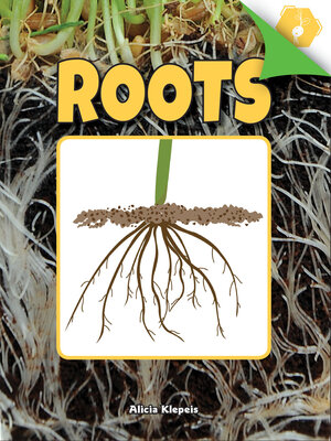 cover image of Roots